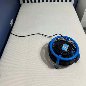 mattress cleaning